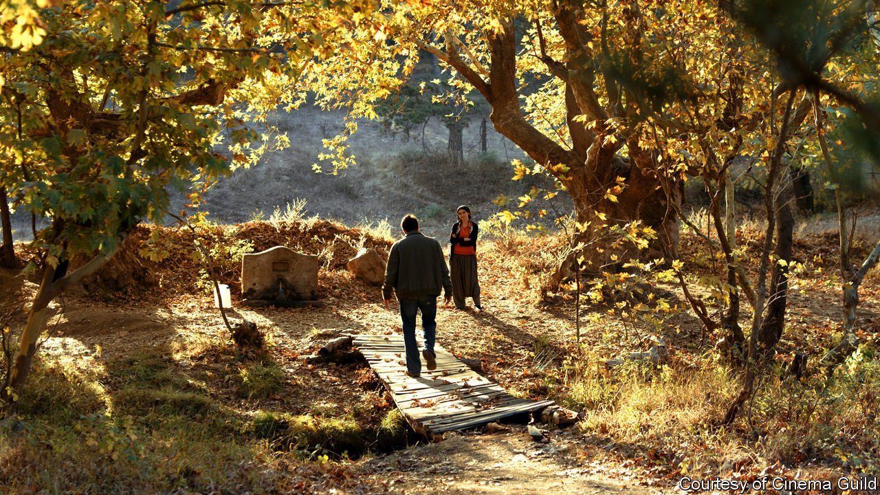 the Wild Pear Tree.jpg